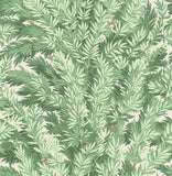 100/1002 - Florencecourt
