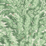 100/1002 - Florencecourt