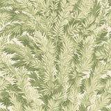 100/1003 - Florencecourt