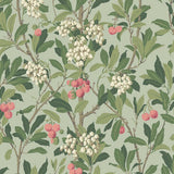 100/10048 - Strawberry Tree