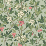 100/10048 - Strawberry Tree