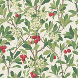 100/10049 - Strawberry Tree