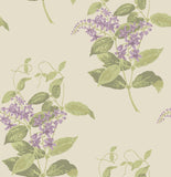 100/12056 - Madras Violet