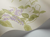 100/12056 - Madras Violet