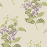 100/12056 - Madras Violet
