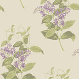 100/12056 - Madras Violet