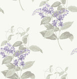 100/12057 - Madras Violet