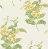 100/12059 - Madras Violet