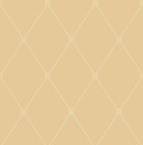 100/13064 - Large Georgian Rope Trellis