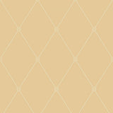 100/13064 - Large Georgian Rope Trellis