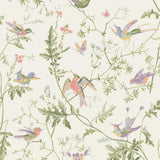 100/14067 - Hummingbirds