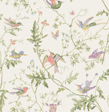 100/14068 - Hummingbirds
