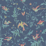 100/14068 - Hummingbirds