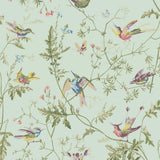 100/14069 - Hummingbirds