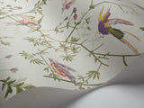 100/14070 - Hummingbirds Archive Anthology