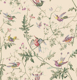 100/14071 - Hummingbirds Archive Anthology