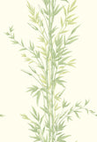 100/5023 - Bamboo