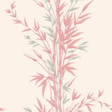 100/5024 - Bamboo