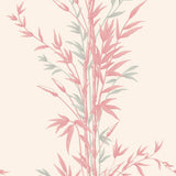 100/5024 - Bamboo
