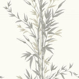 100/5025 - Bamboo