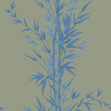 100/5026 - Bamboo