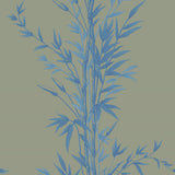 100/5026 - Bamboo