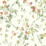 100/6027 - Sweet Pea 1