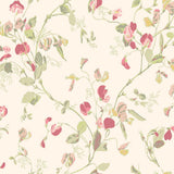 100/6028 - Sweet Pea 1