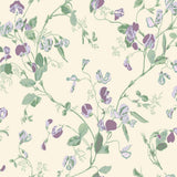 100/6030 - Sweet Pea 1