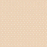 100/7037 - Victorian Star
