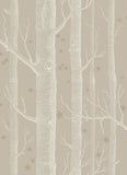 103/11047 - Woods & Stars
