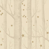 103/11049 - Woods & Stars