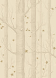 103/11049 - Woods & Stars