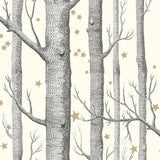 103/11050 - Woods & Stars