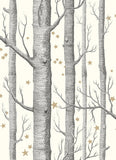 103/11050 - Woods & Stars
