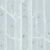 103/11051 - Woods & Stars
