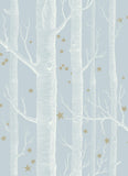 103/11051 - Woods & Stars