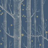 103/11052 - Woods & Stars