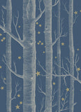 103/11052 - Woods & Stars