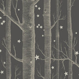 103/11053 - Woods & Stars