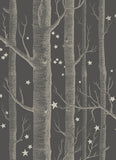 103/11053 - Woods & Stars