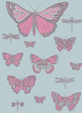 103/15062 - Butterflies & Dragonflies