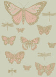 103/15063 - Butterflies & Dragonflies