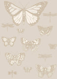 103/15064 - Butterflies & Dragonflies