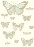103/15065 - Butterflies & Dragonflies