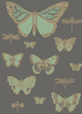103/15067 - Butterflies & Dragonflies