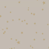 103/3013 - Stars