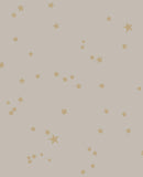 103/3013 - Stars