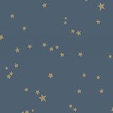 103/3017 - Stars