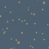 103/3017 - Stars